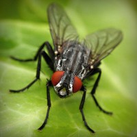 /album/rekordy-sveta/photolia-a01-jpg/